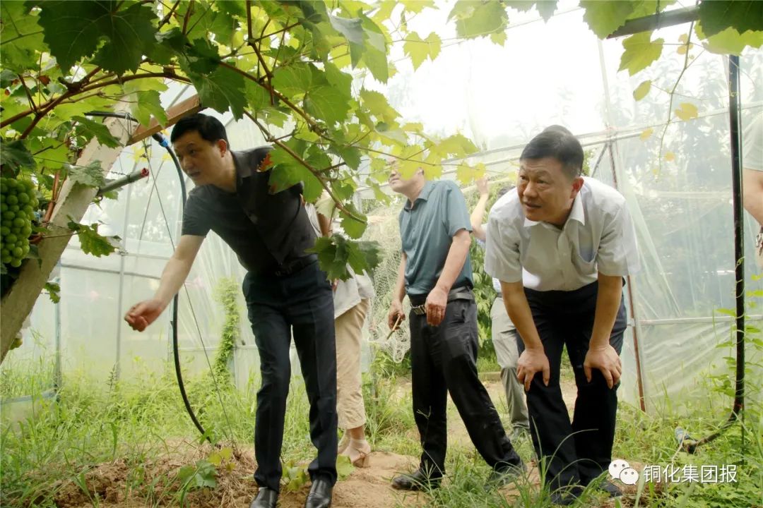 问鼎娱乐app(中国)官网下载入口