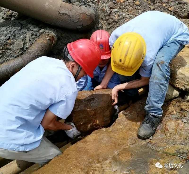 问鼎娱乐app(中国)官网下载入口